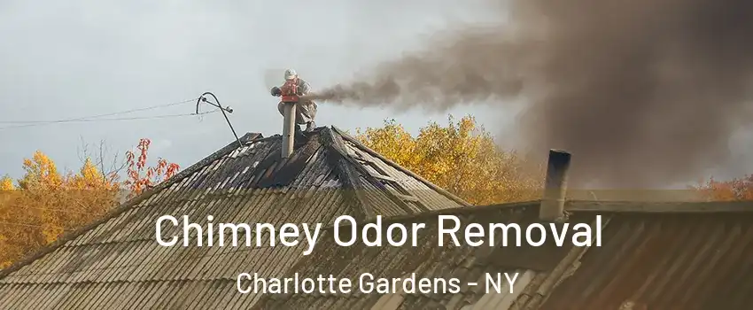 Chimney Odor Removal Charlotte Gardens - NY