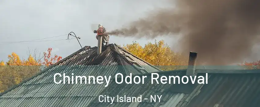 Chimney Odor Removal City Island - NY