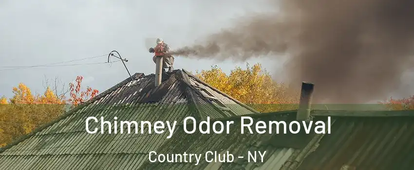 Chimney Odor Removal Country Club - NY