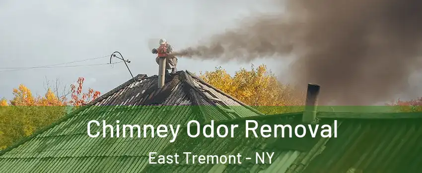 Chimney Odor Removal East Tremont - NY