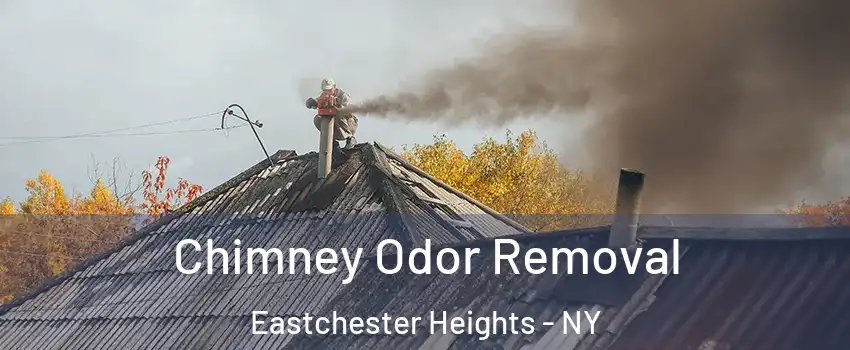 Chimney Odor Removal Eastchester Heights - NY