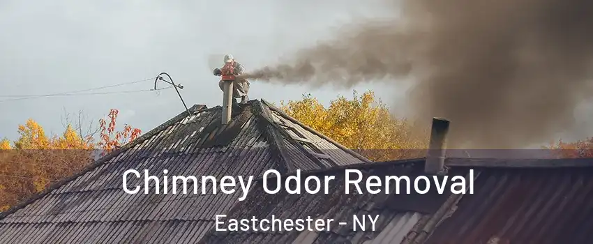 Chimney Odor Removal Eastchester - NY