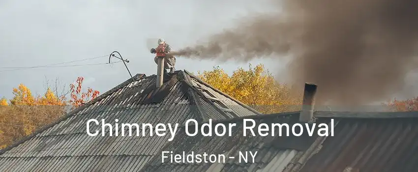 Chimney Odor Removal Fieldston - NY