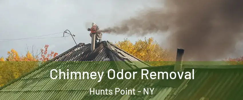 Chimney Odor Removal Hunts Point - NY