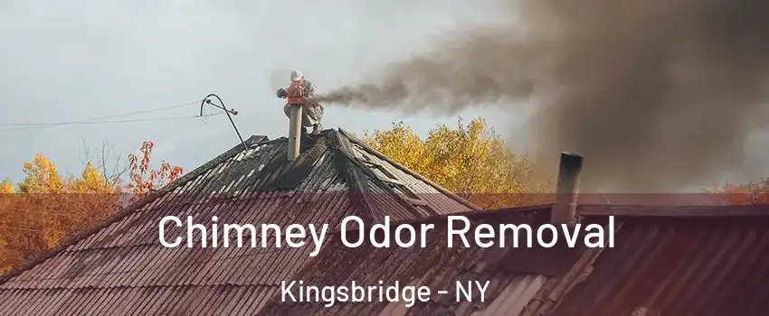 Chimney Odor Removal Kingsbridge - NY