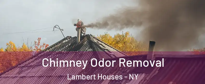 Chimney Odor Removal Lambert Houses - NY