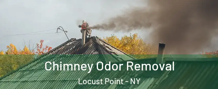 Chimney Odor Removal Locust Point - NY