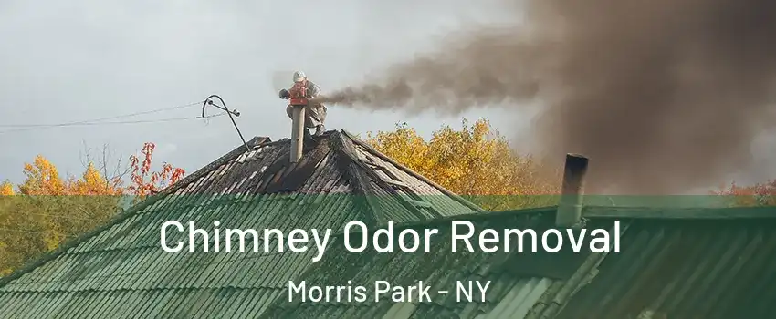 Chimney Odor Removal Morris Park - NY