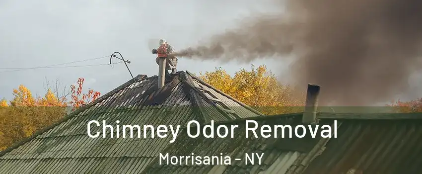 Chimney Odor Removal Morrisania - NY