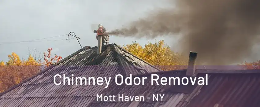 Chimney Odor Removal Mott Haven - NY