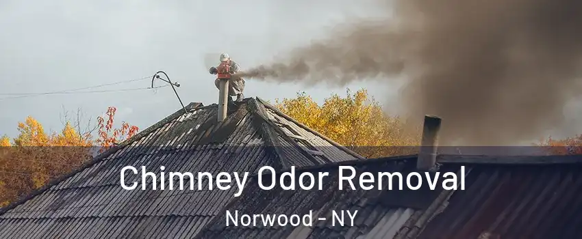 Chimney Odor Removal Norwood - NY