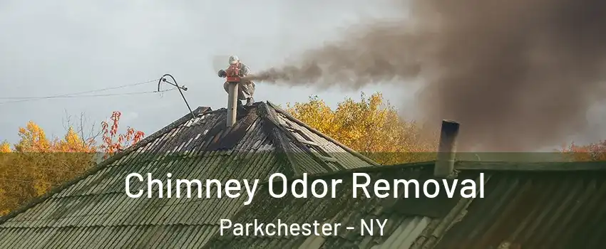 Chimney Odor Removal Parkchester - NY