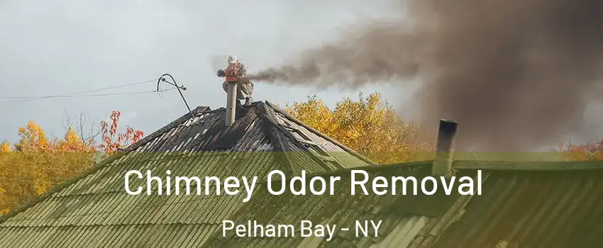 Chimney Odor Removal Pelham Bay - NY