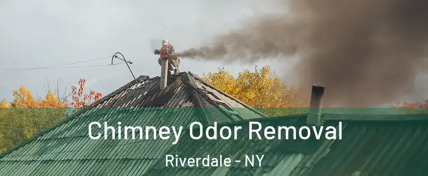 Chimney Odor Removal Riverdale - NY