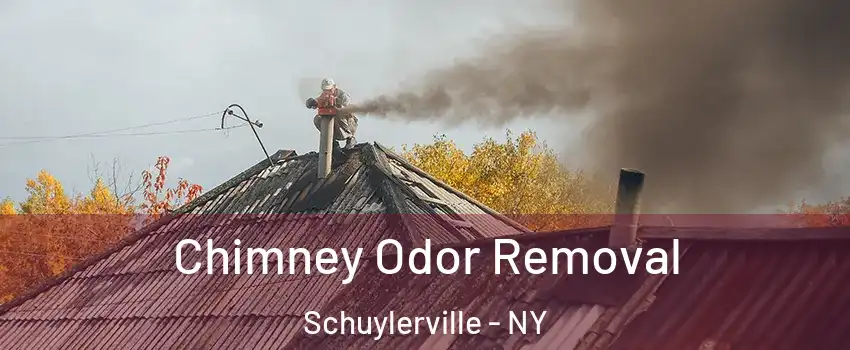 Chimney Odor Removal Schuylerville - NY