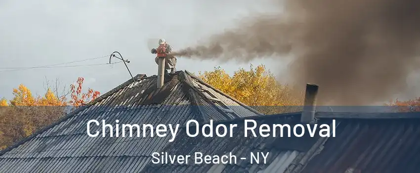 Chimney Odor Removal Silver Beach - NY