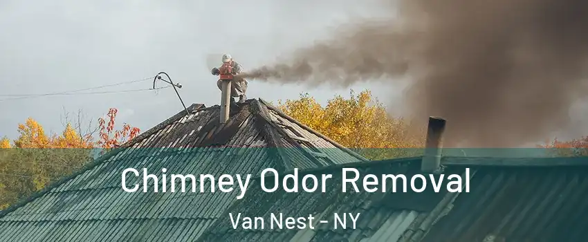 Chimney Odor Removal Van Nest - NY