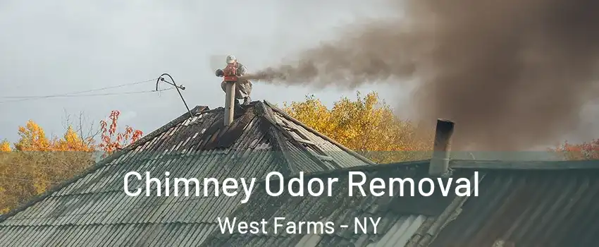 Chimney Odor Removal West Farms - NY