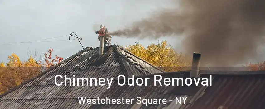 Chimney Odor Removal Westchester Square - NY