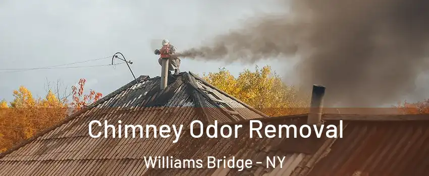 Chimney Odor Removal Williams Bridge - NY