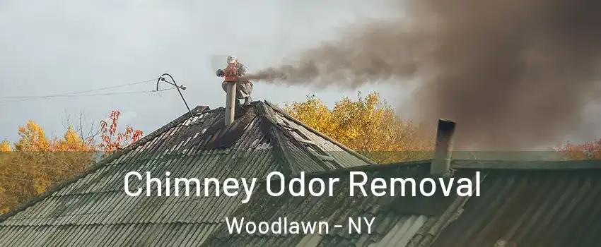 Chimney Odor Removal Woodlawn - NY