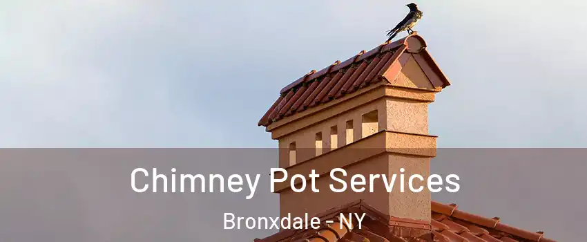 Chimney Pot Services Bronxdale - NY