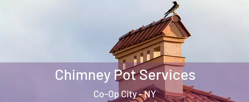 Chimney Pot Services Co-Op City - NY