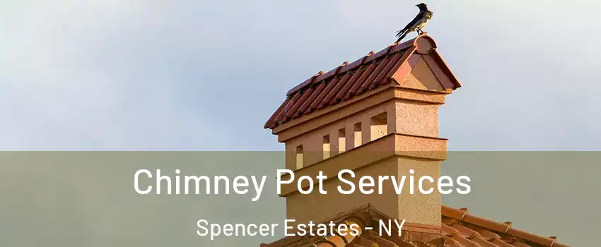 Chimney Pot Services Spencer Estates - NY