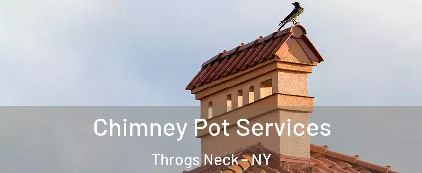 Chimney Pot Services Throgs Neck - NY