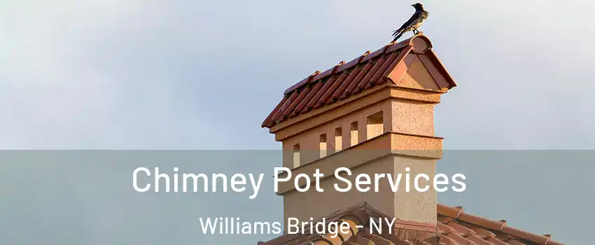 Chimney Pot Services Williams Bridge - NY