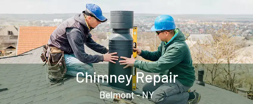 Chimney Repair Belmont - NY