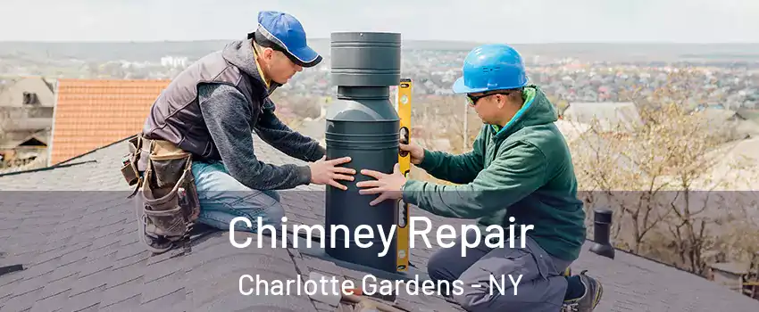 Chimney Repair Charlotte Gardens - NY