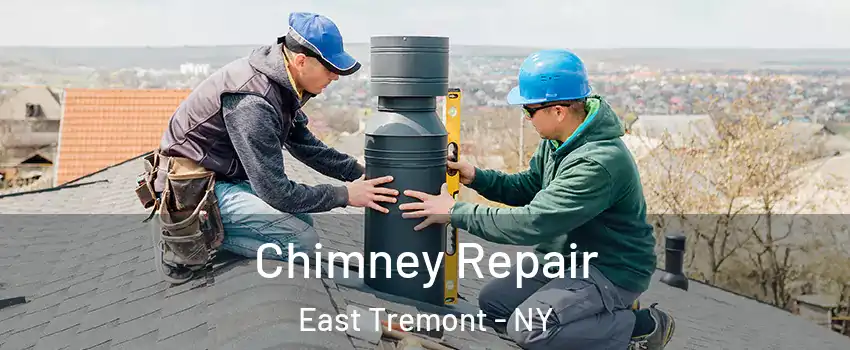 Chimney Repair East Tremont - NY