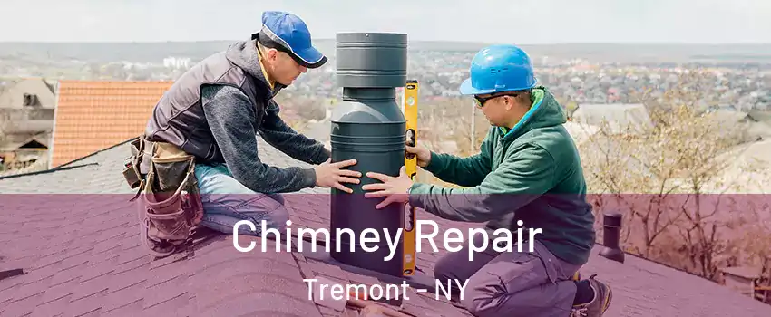 Chimney Repair Tremont - NY