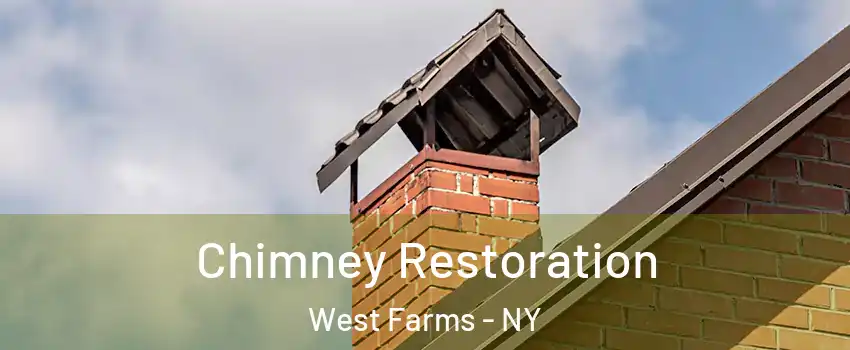 Chimney Restoration West Farms - NY