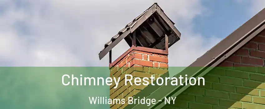 Chimney Restoration Williams Bridge - NY