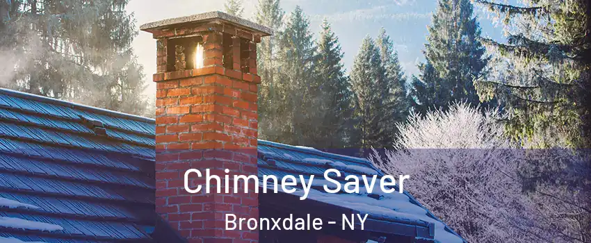 Chimney Saver Bronxdale - NY