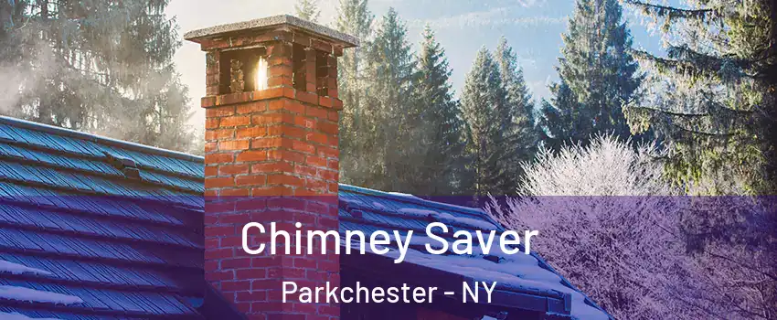 Chimney Saver Parkchester - NY