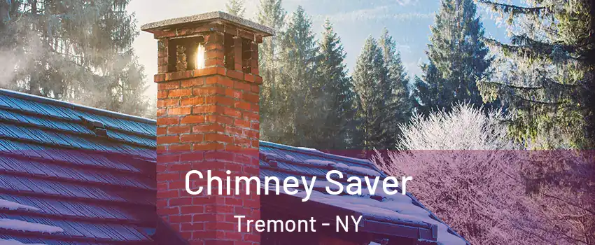 Chimney Saver Tremont - NY