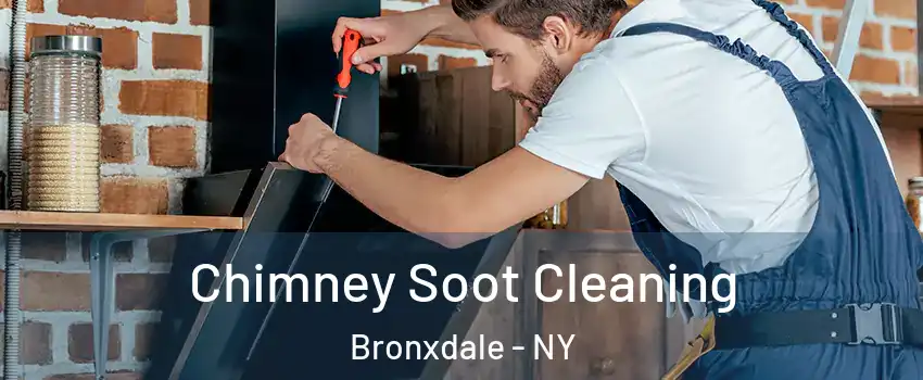 Chimney Soot Cleaning Bronxdale - NY