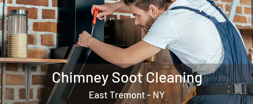 Chimney Soot Cleaning East Tremont - NY