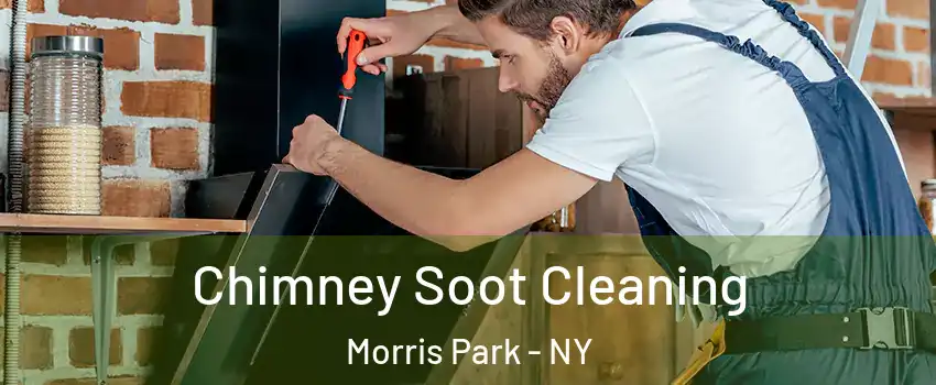 Chimney Soot Cleaning Morris Park - NY