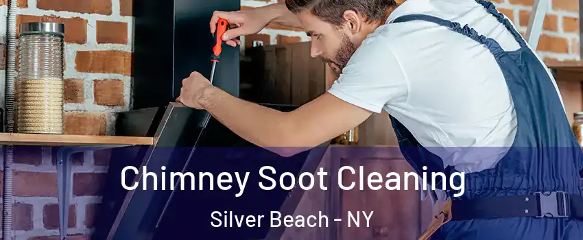 Chimney Soot Cleaning Silver Beach - NY