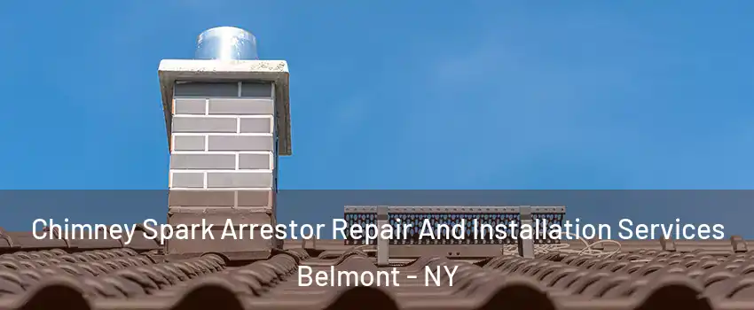 Chimney Spark Arrestor Repair And Installation Services Belmont - NY