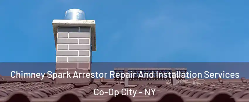 Chimney Spark Arrestor Repair And Installation Services Co-Op City - NY