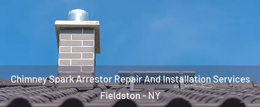 Chimney Spark Arrestor Repair And Installation Services Fieldston - NY