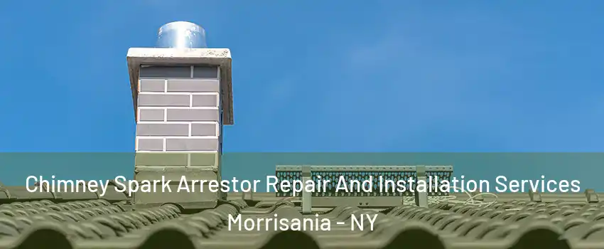 Chimney Spark Arrestor Repair And Installation Services Morrisania - NY