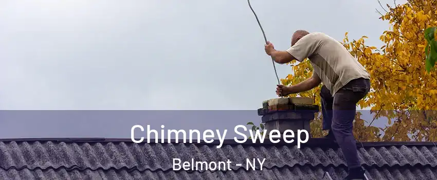 Chimney Sweep Belmont - NY