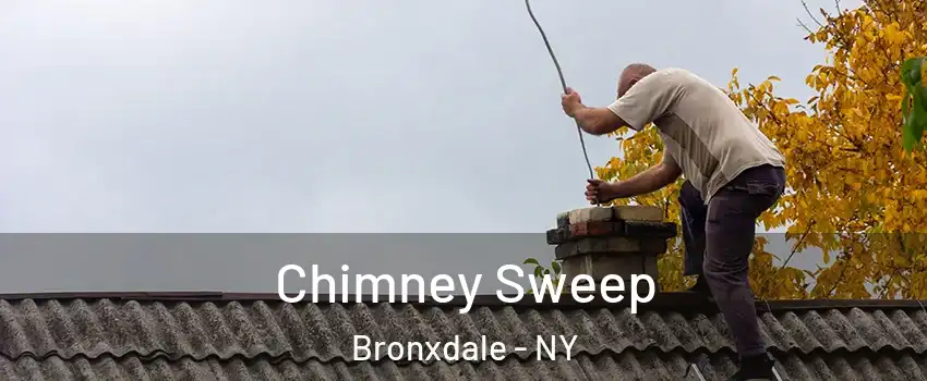 Chimney Sweep Bronxdale - NY