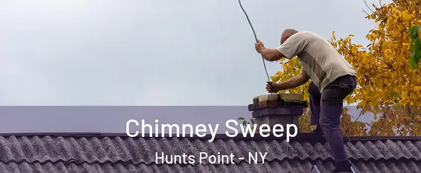 Chimney Sweep Hunts Point - NY